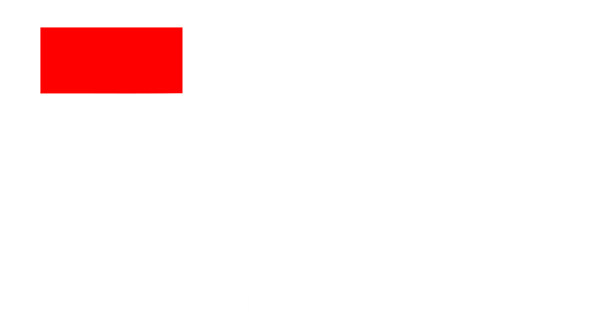 Iron Rebel